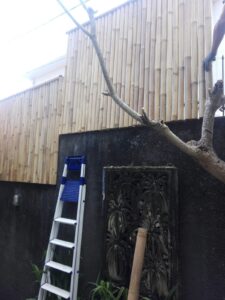 Bamboo fence prices in Bali